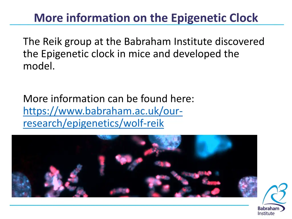 more information on the epigenetic clock