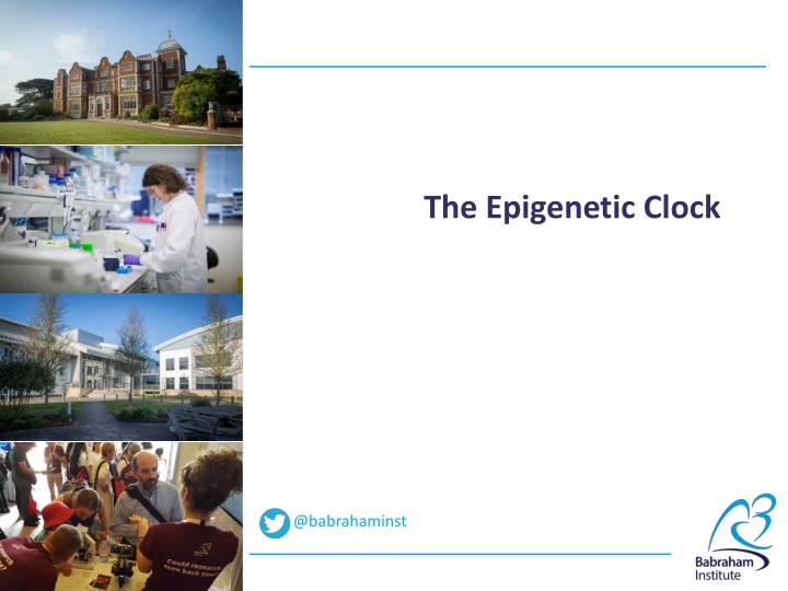 the epigenetic clock