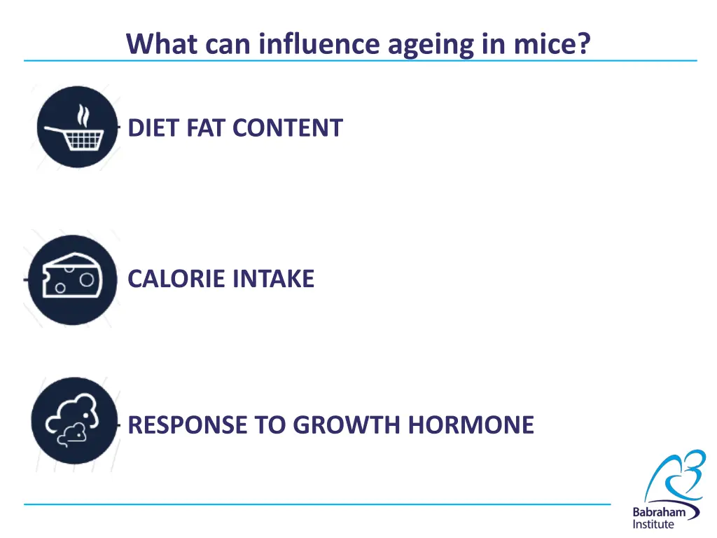 what can influence ageing in mice