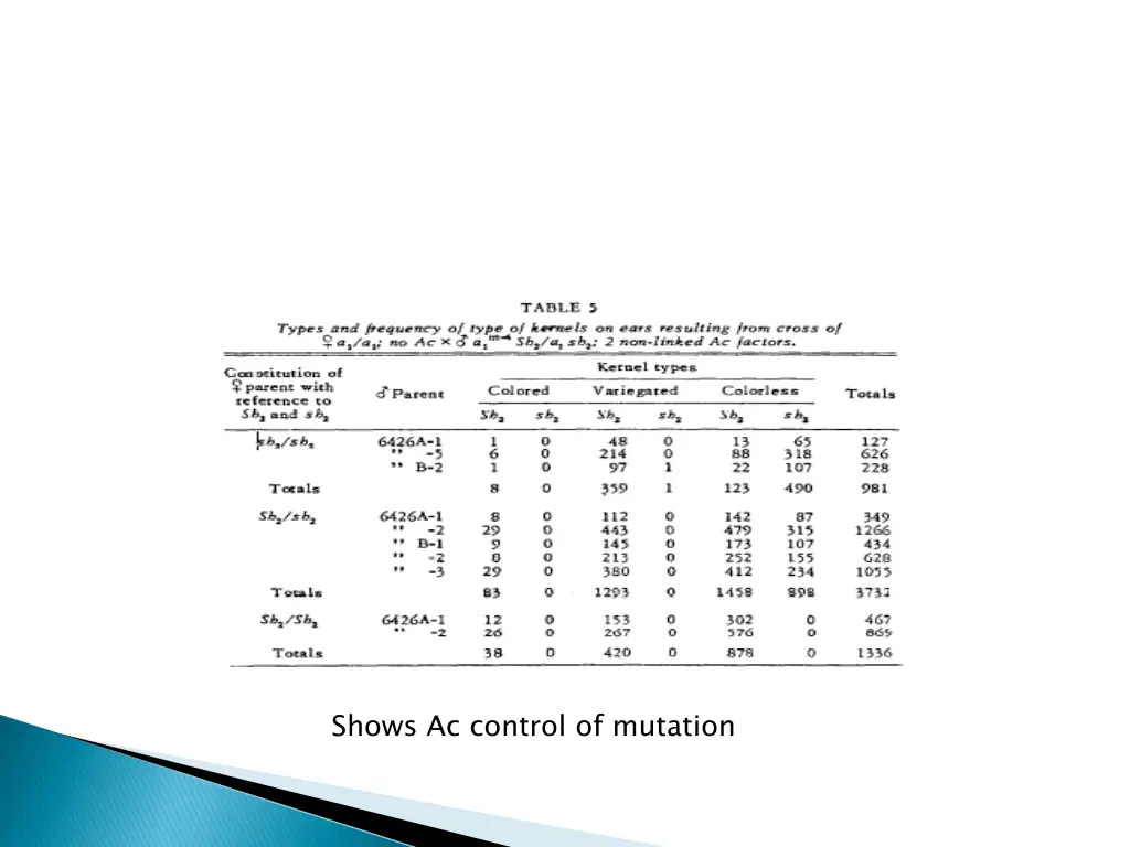 shows ac control of mutation