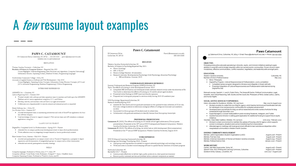 a few resume layout examples