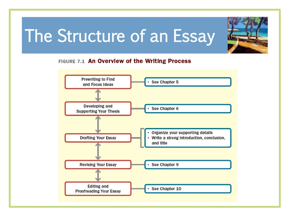 the structure of an essay the structure