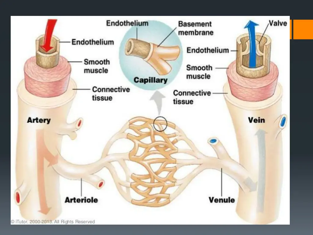 slide13