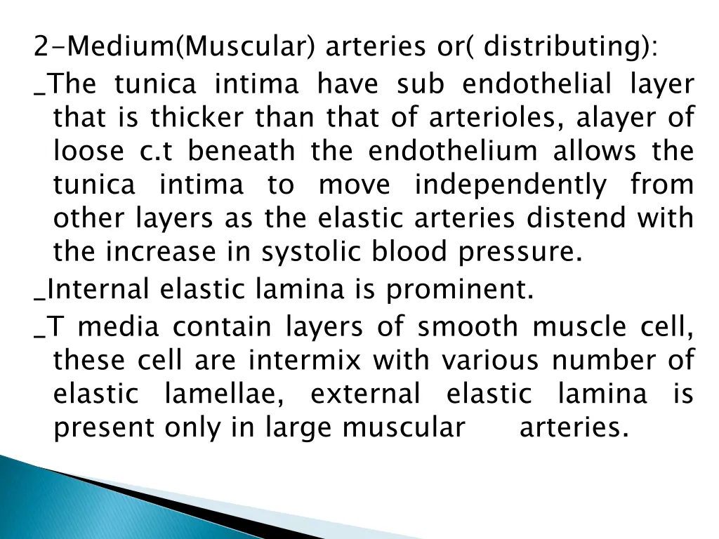 2 medium muscular arteries or distributing