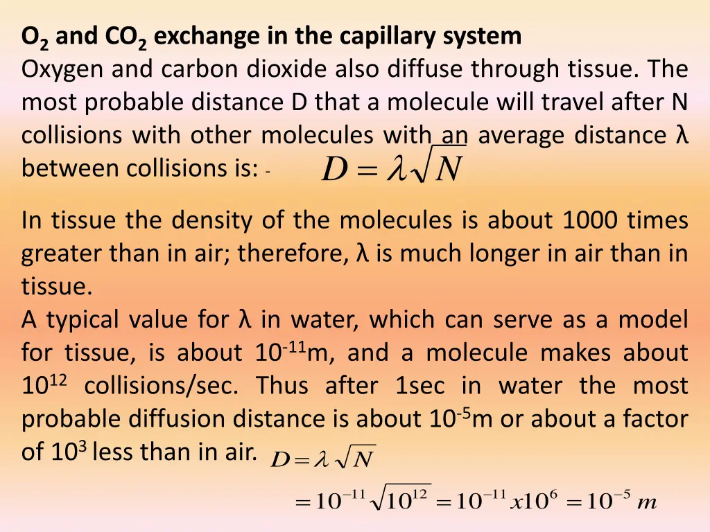 o 2 and co 2 exchange in the capillary system