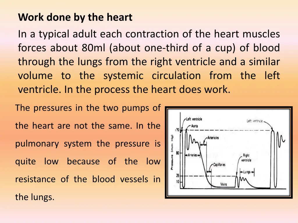 work done by the heart in a typical adult each