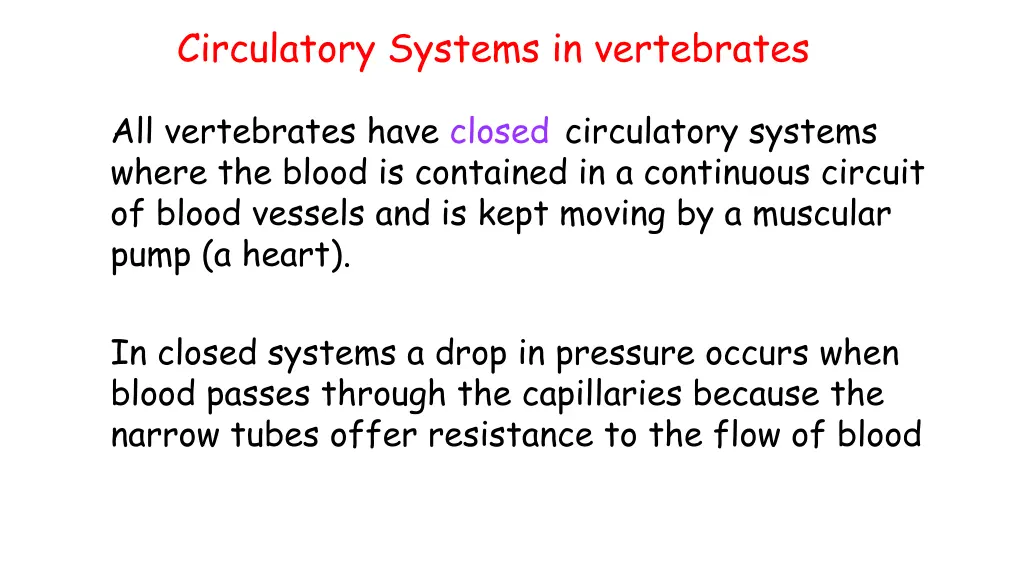 circulatory systems in vertebrates