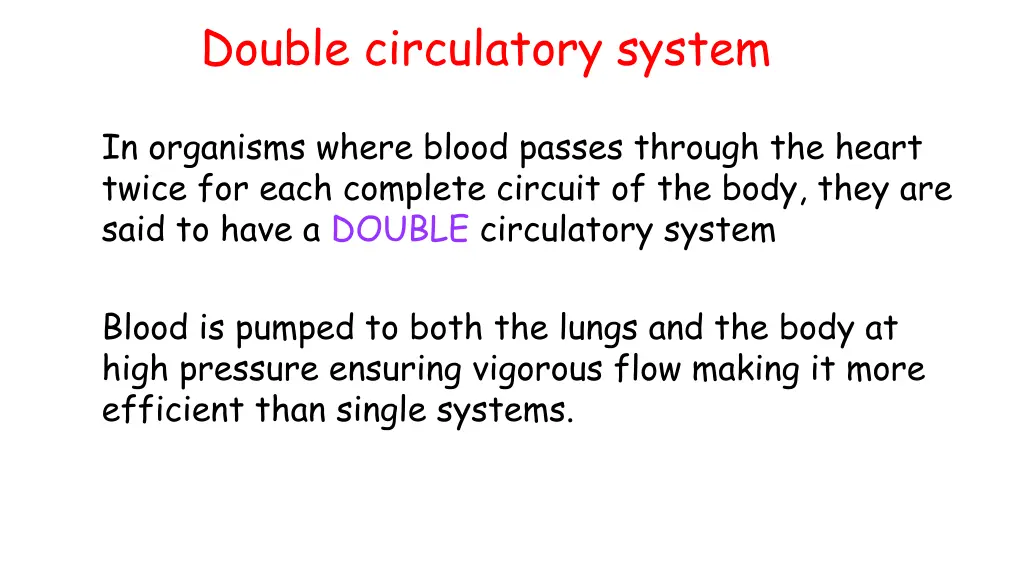 double circulatory system