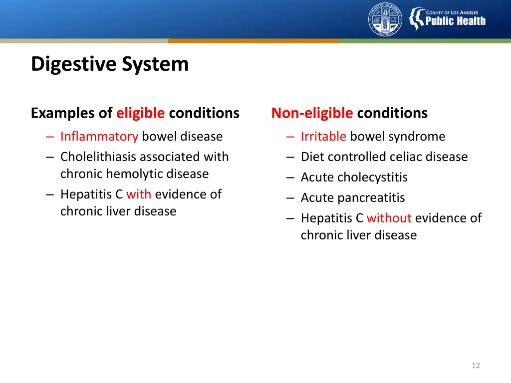 digestive system