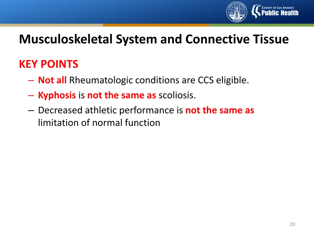 musculoskeletal system and connective tissue