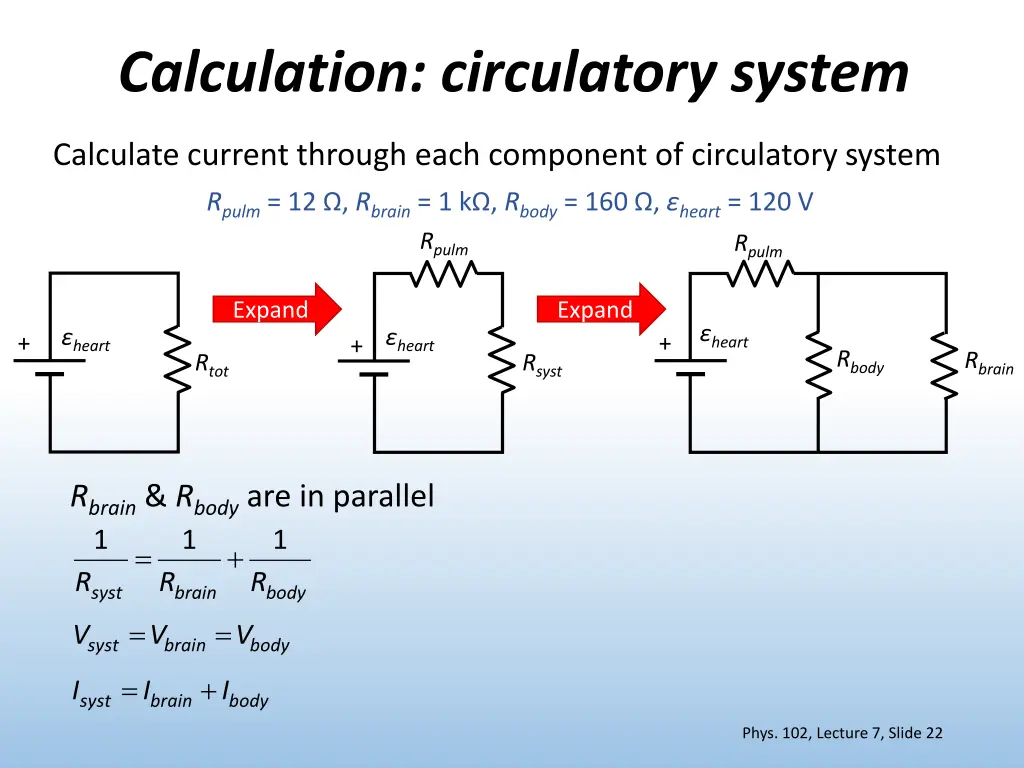 calculation circulatory system 2