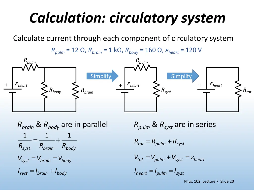 calculation circulatory system