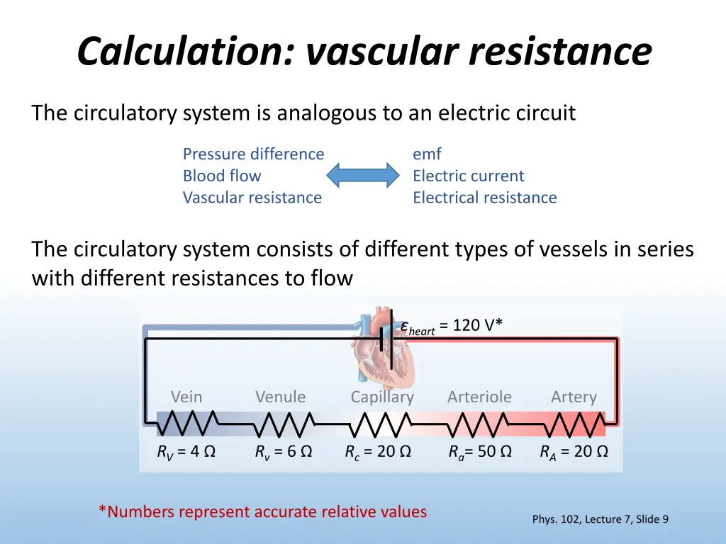 calculation vascular resistance