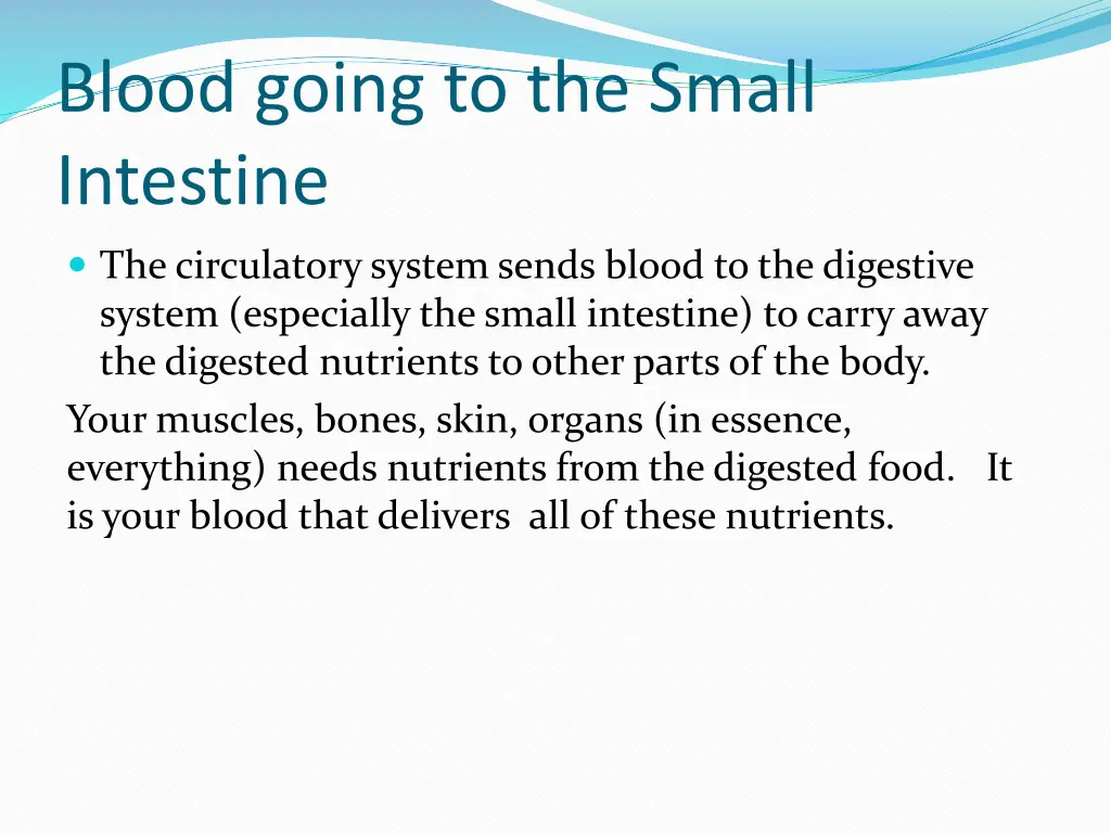 blood going to the small intestine