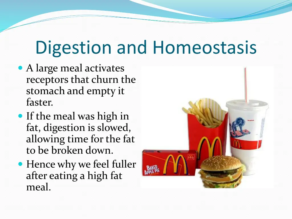 digestion and homeostasis a large meal activates