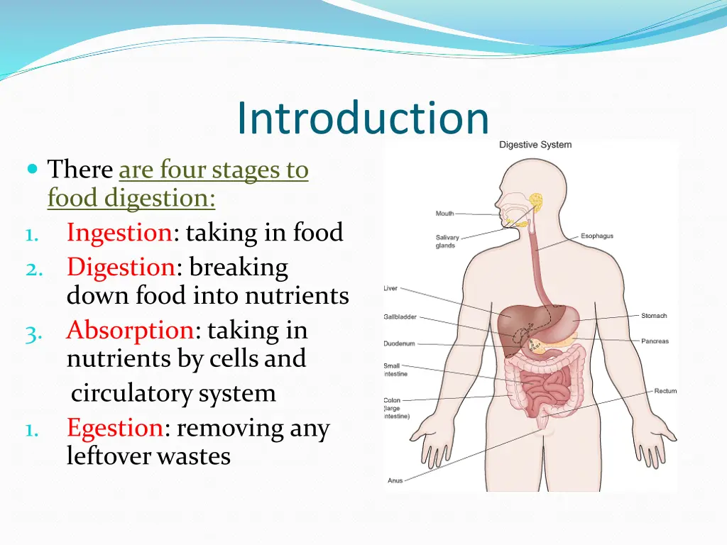 introduction 1