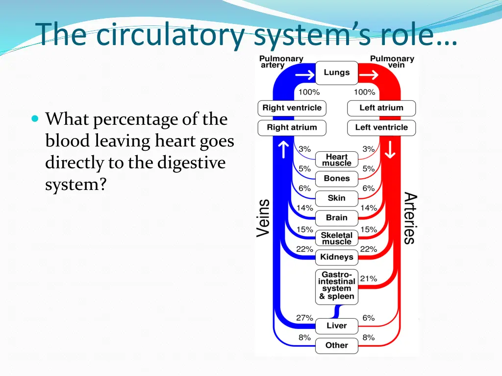 the circulatory system s role