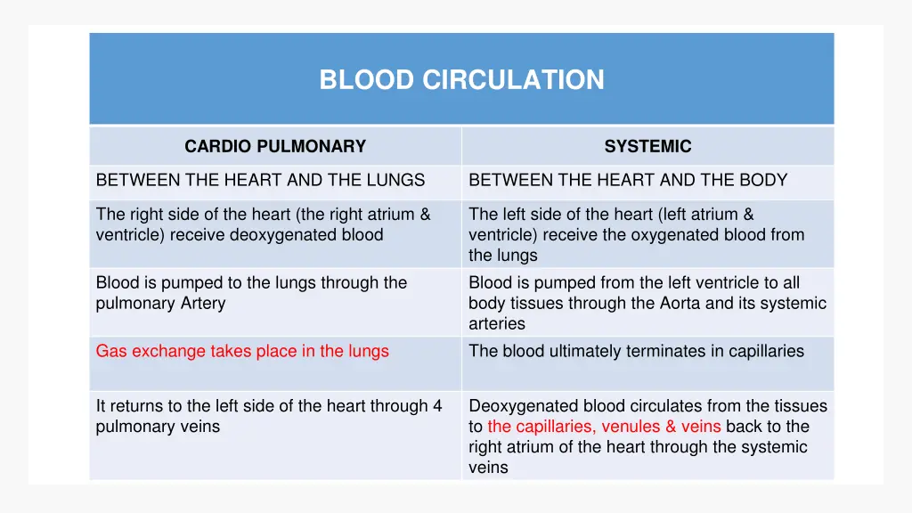 blood circulation