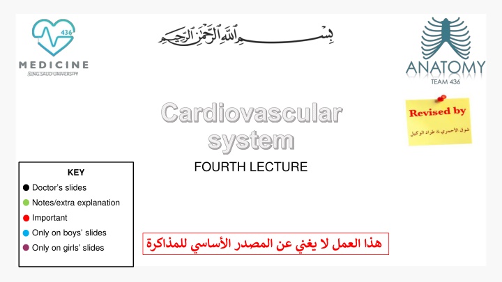 cardiovascular system fourth lecture