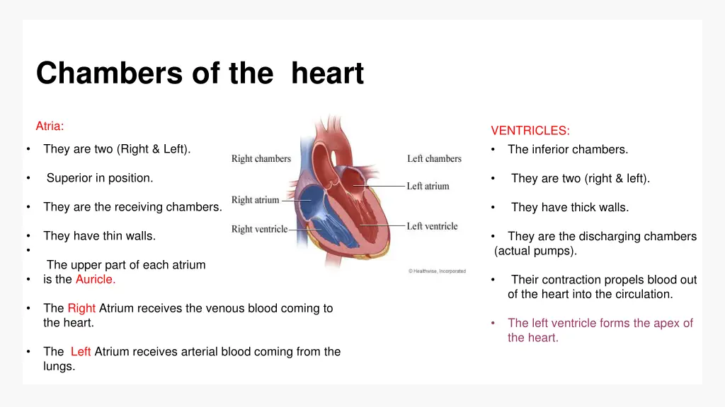 chambers of the heart