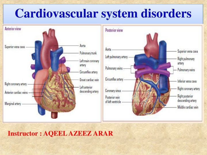 cardiovascular system disorders