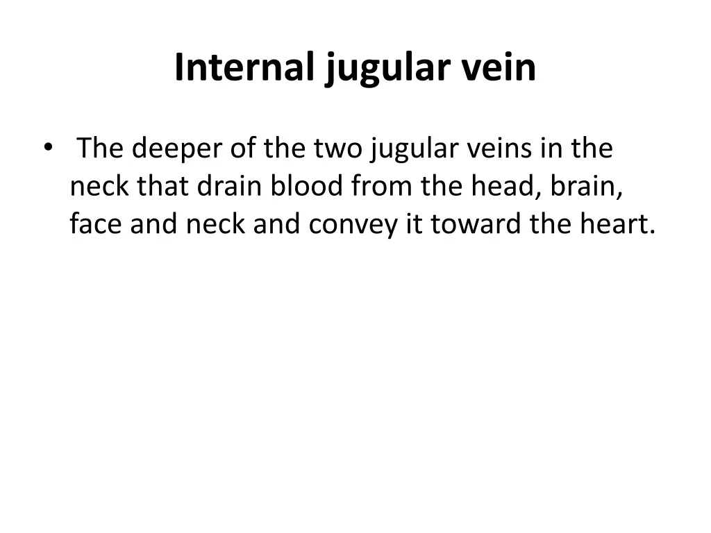 internal jugular vein