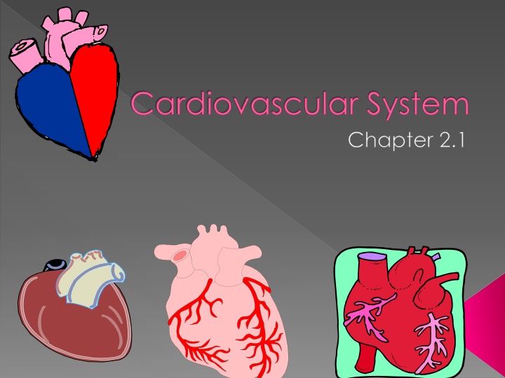 cardiovascular system