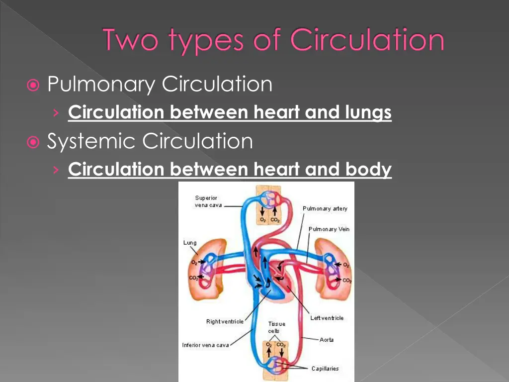 two types of circulation