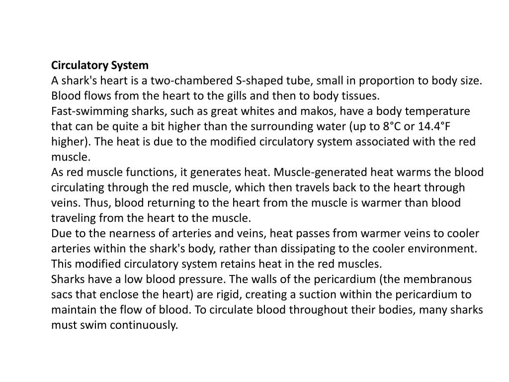 circulatory system a shark s heart 1