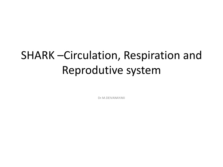 shark circulation respiration and reprodutive