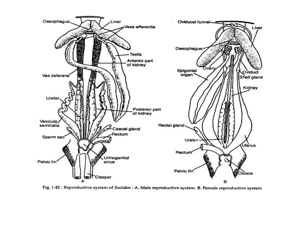 slide7