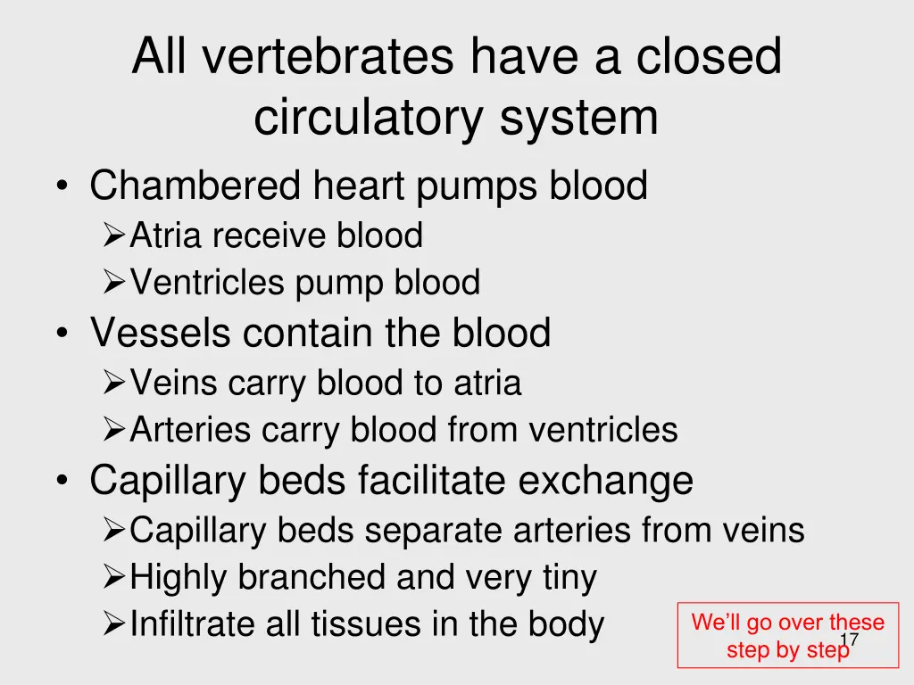 all vertebrates have a closed circulatory system