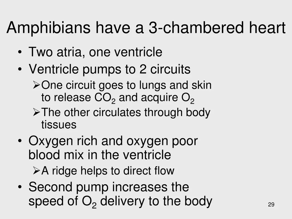 amphibians have a 3 chambered heart