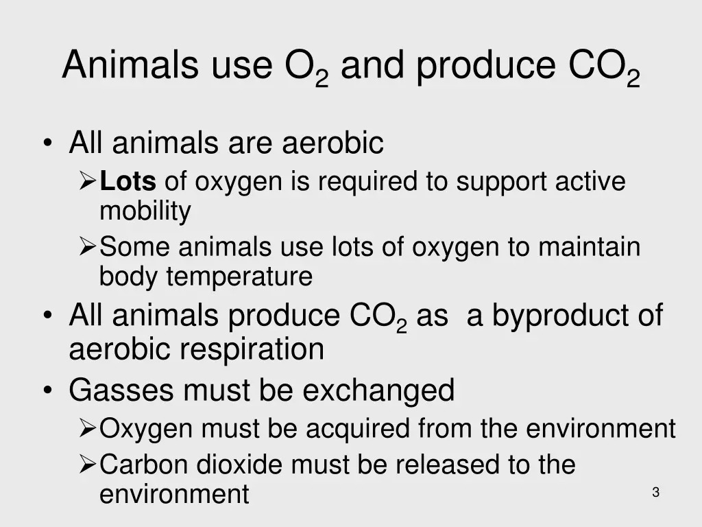 animals use o 2 and produce co 2