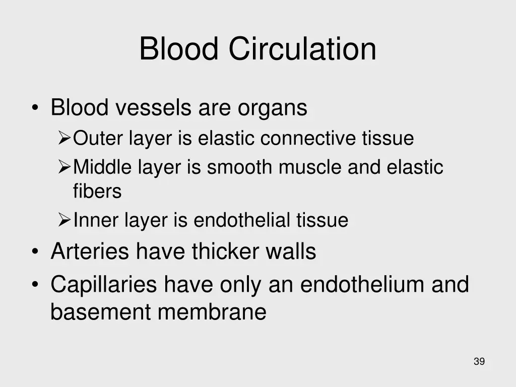 blood circulation