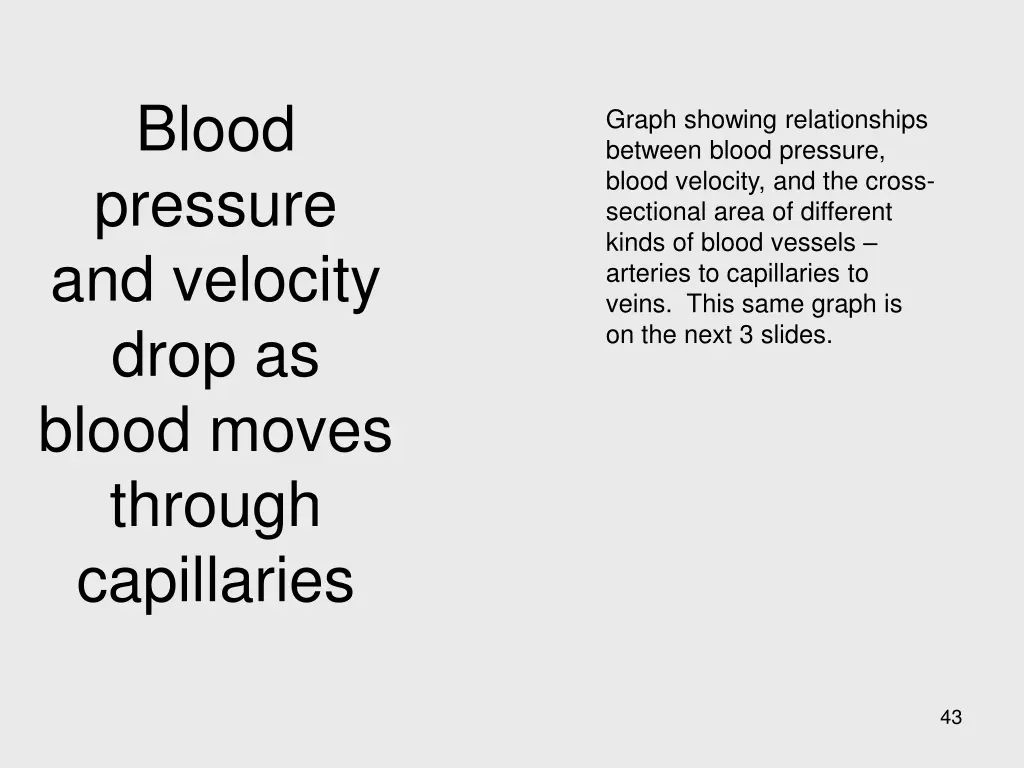 blood pressure and velocity drop as blood moves