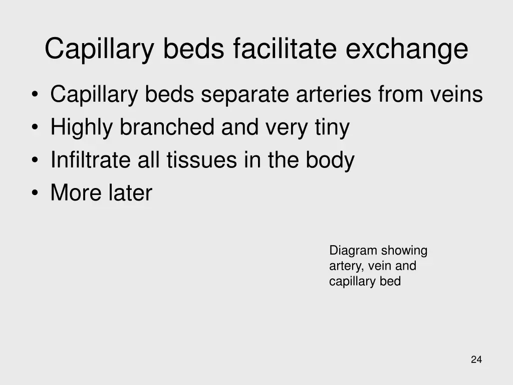 capillary beds facilitate exchange