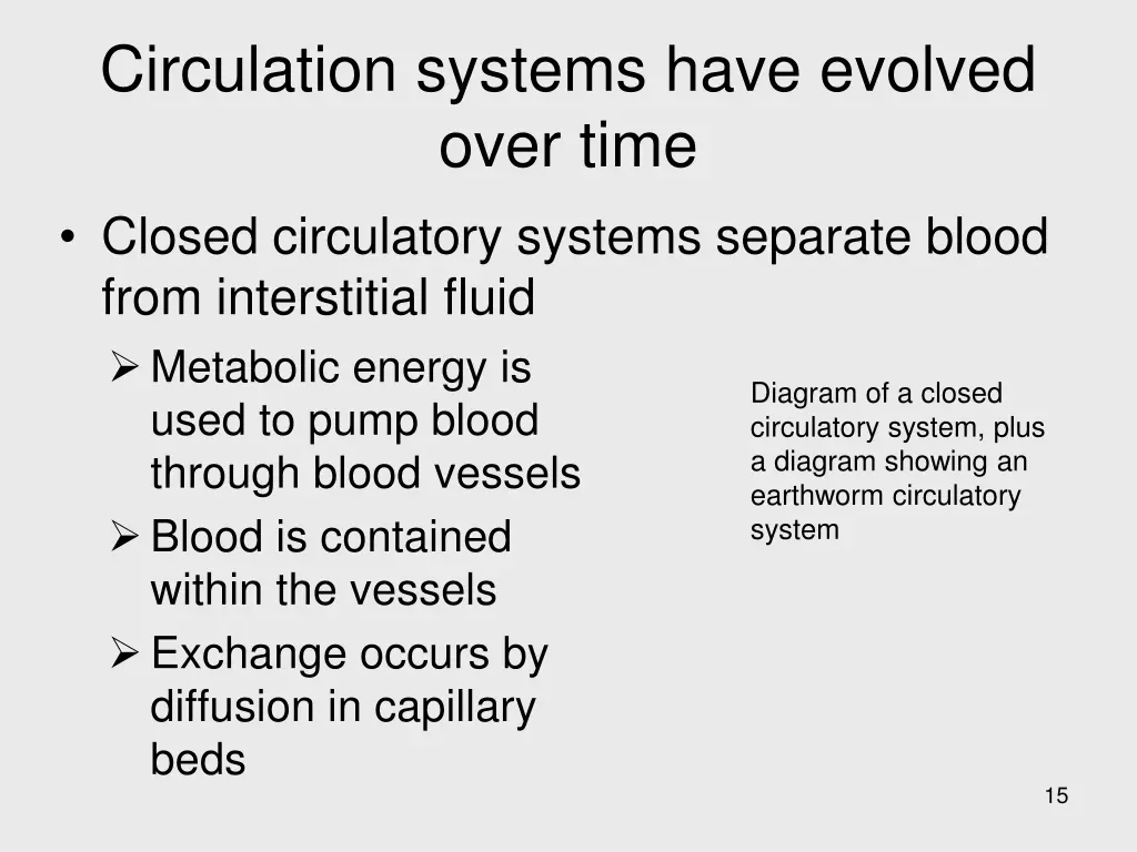 circulation systems have evolved over time closed