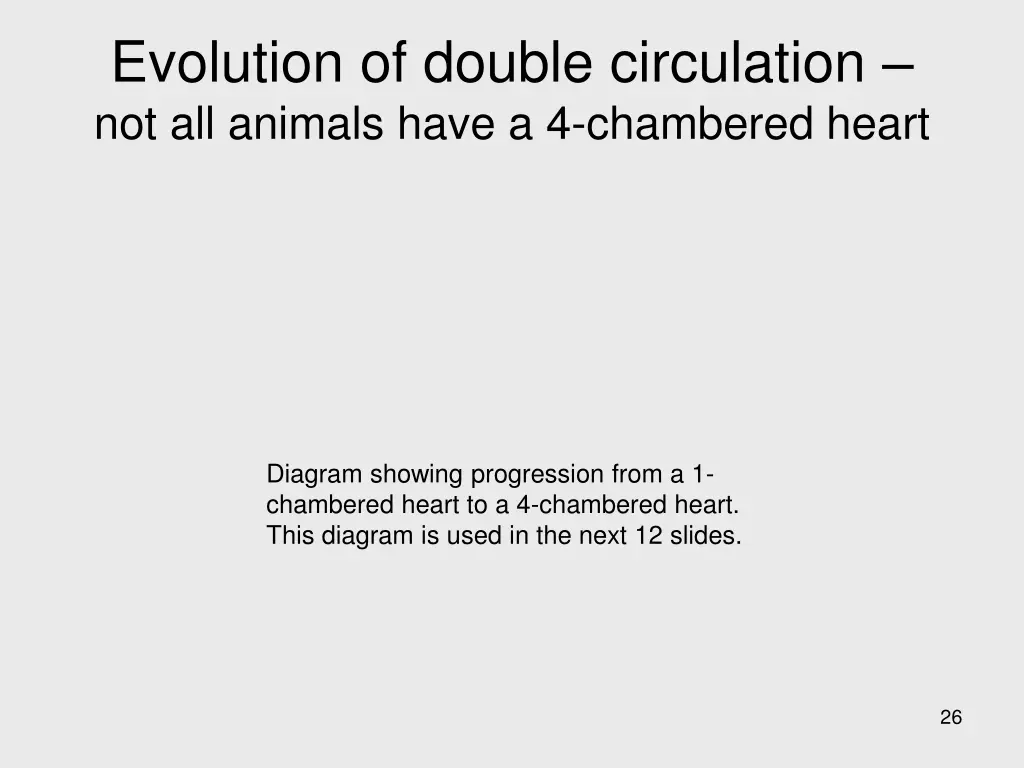 evolution of double circulation not all animals