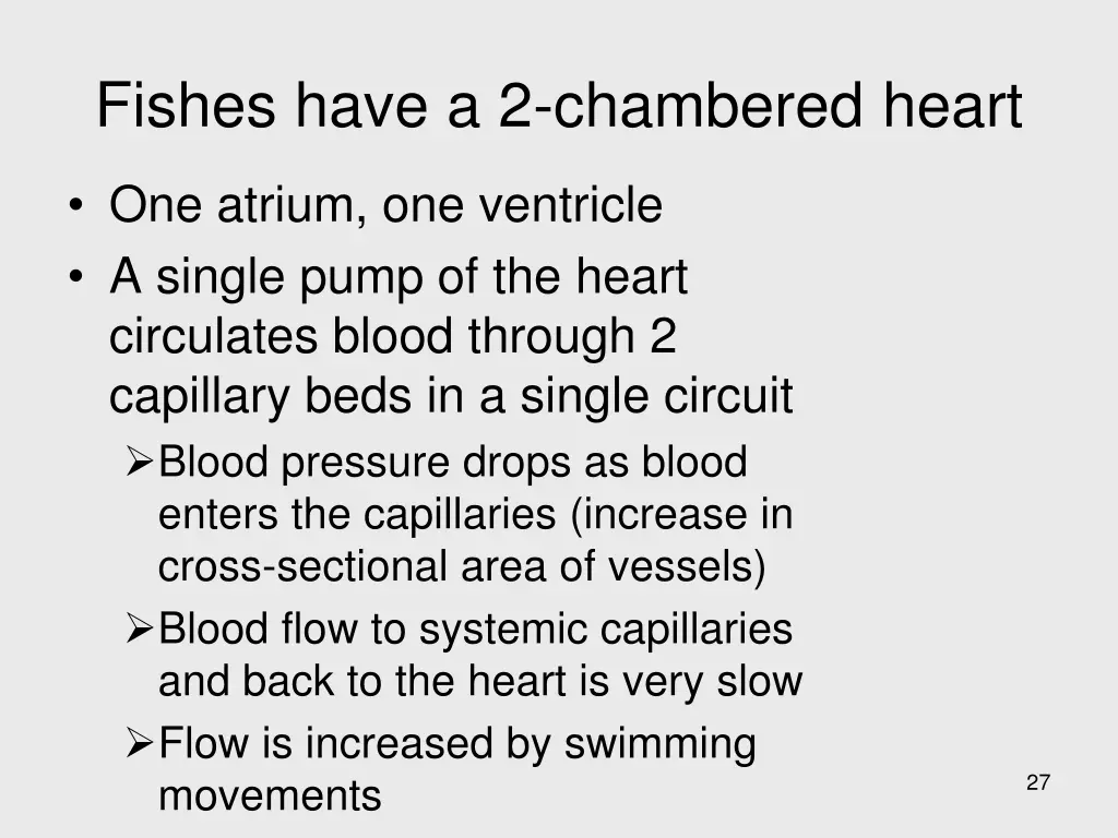 fishes have a 2 chambered heart