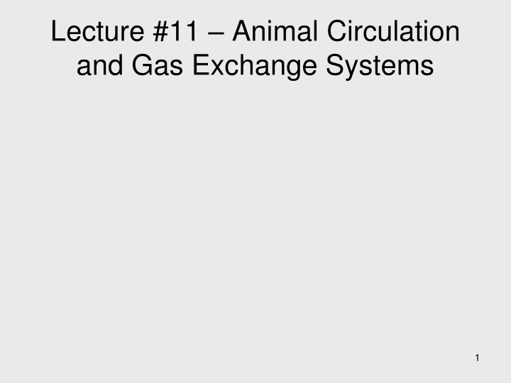 lecture 11 animal circulation and gas exchange