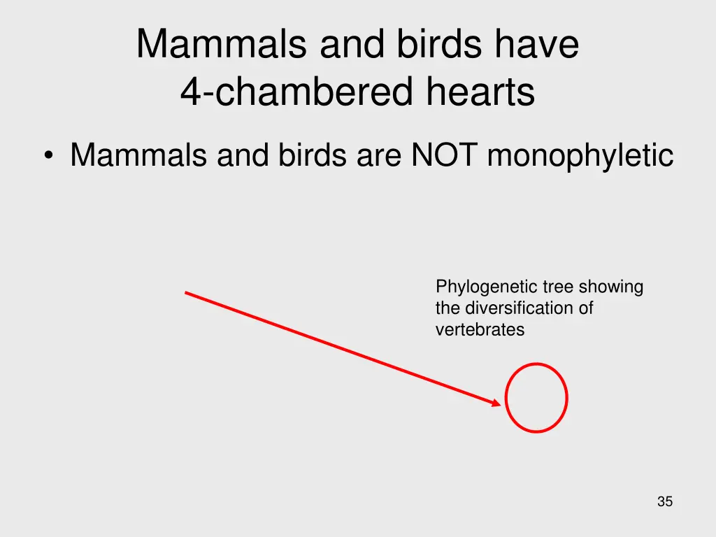 mammals and birds have 4 chambered hearts 2