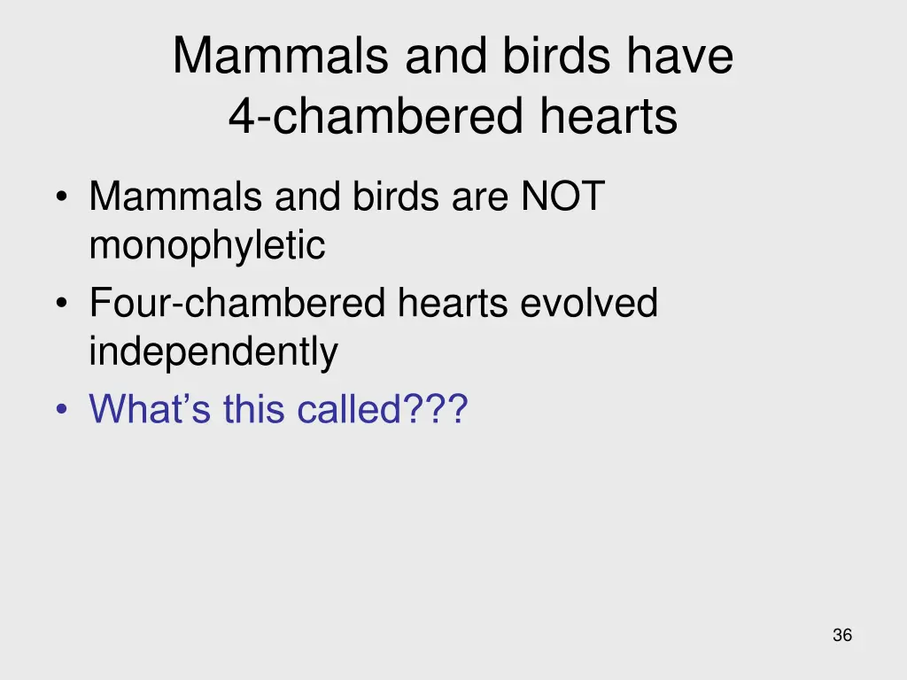 mammals and birds have 4 chambered hearts 3