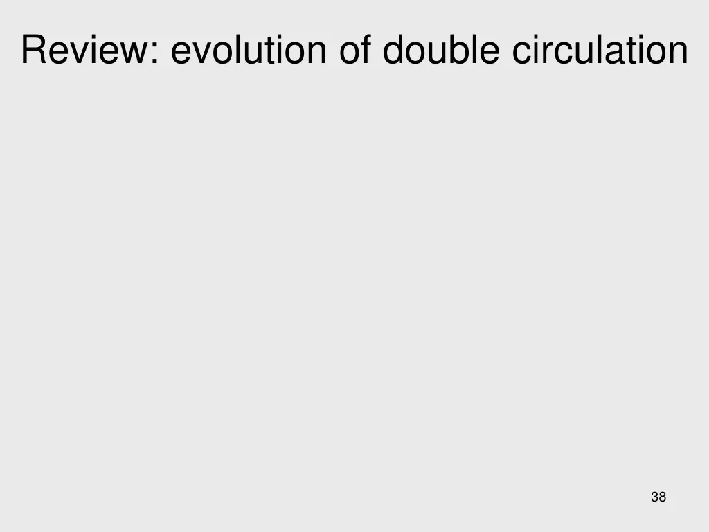 review evolution of double circulation