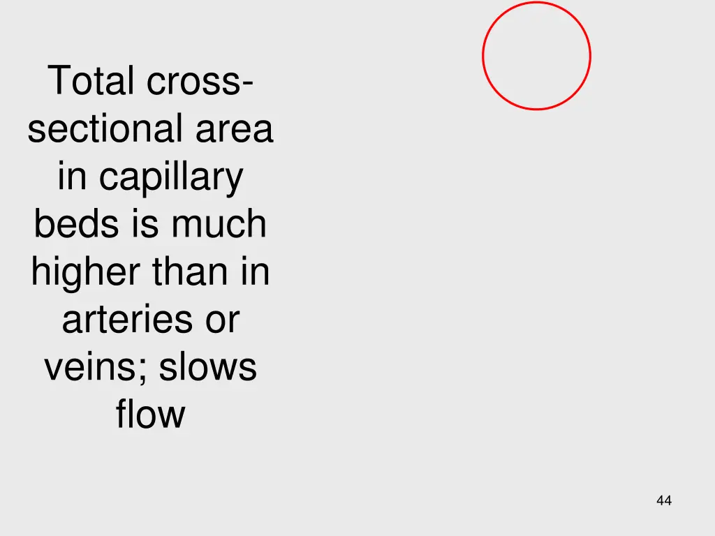 total cross sectional area in capillary beds