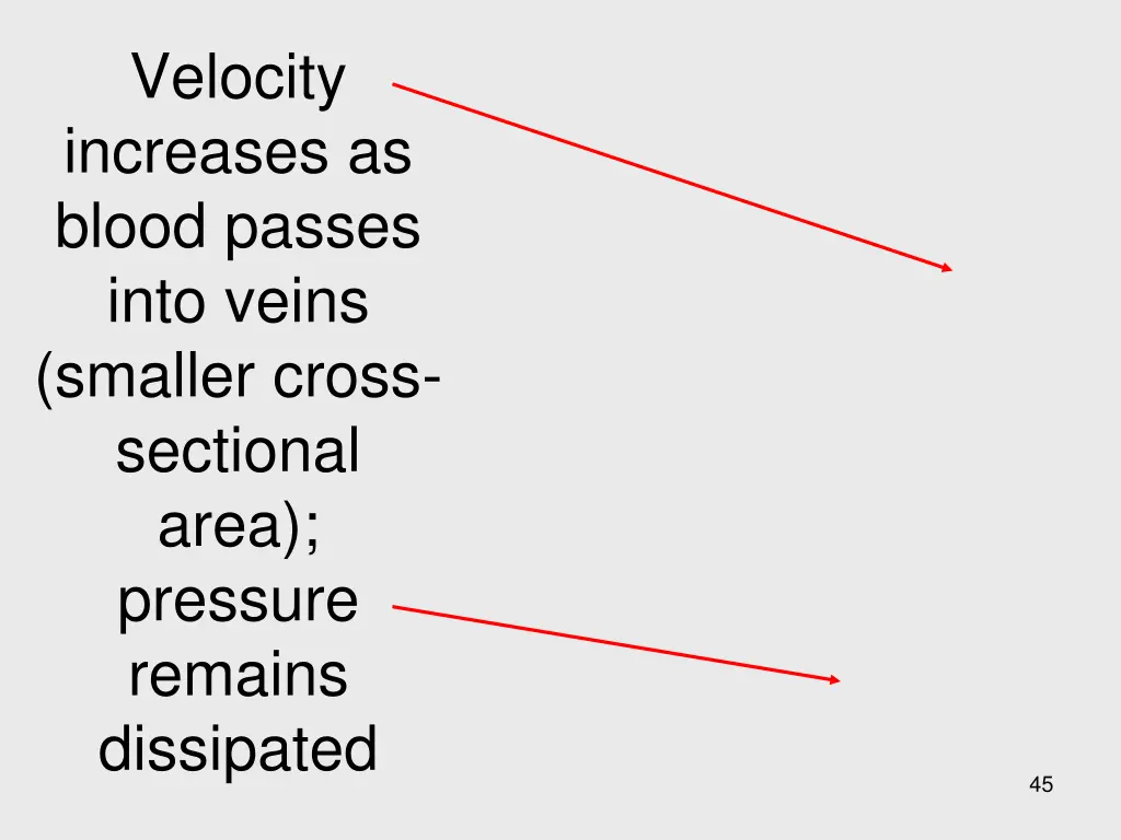 velocity increases as blood passes into veins