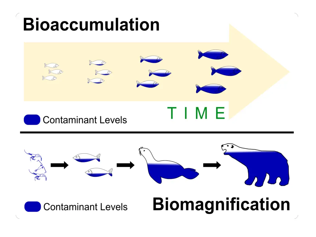 slide14