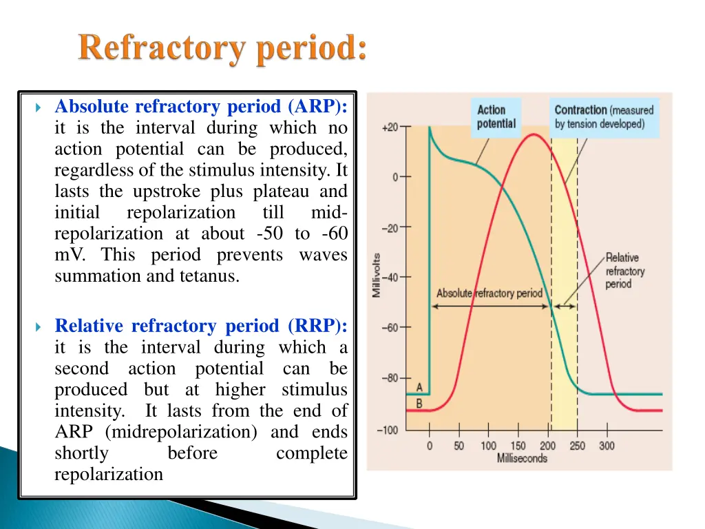 absolute refractory period arp it is the interval