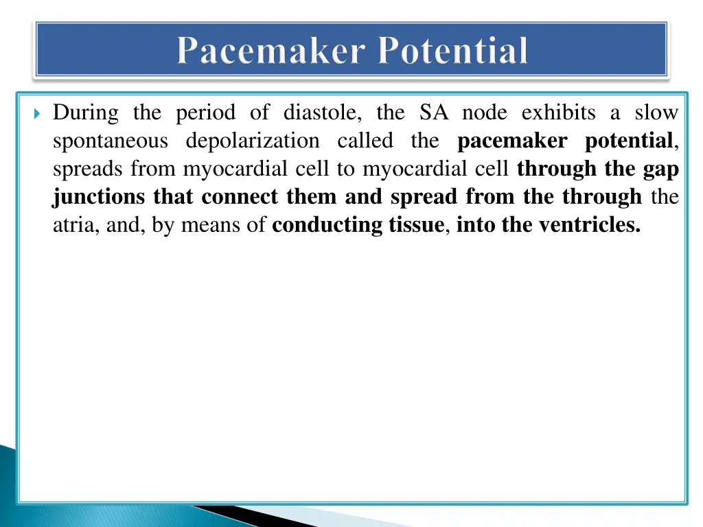 during the period of diastole the sa node