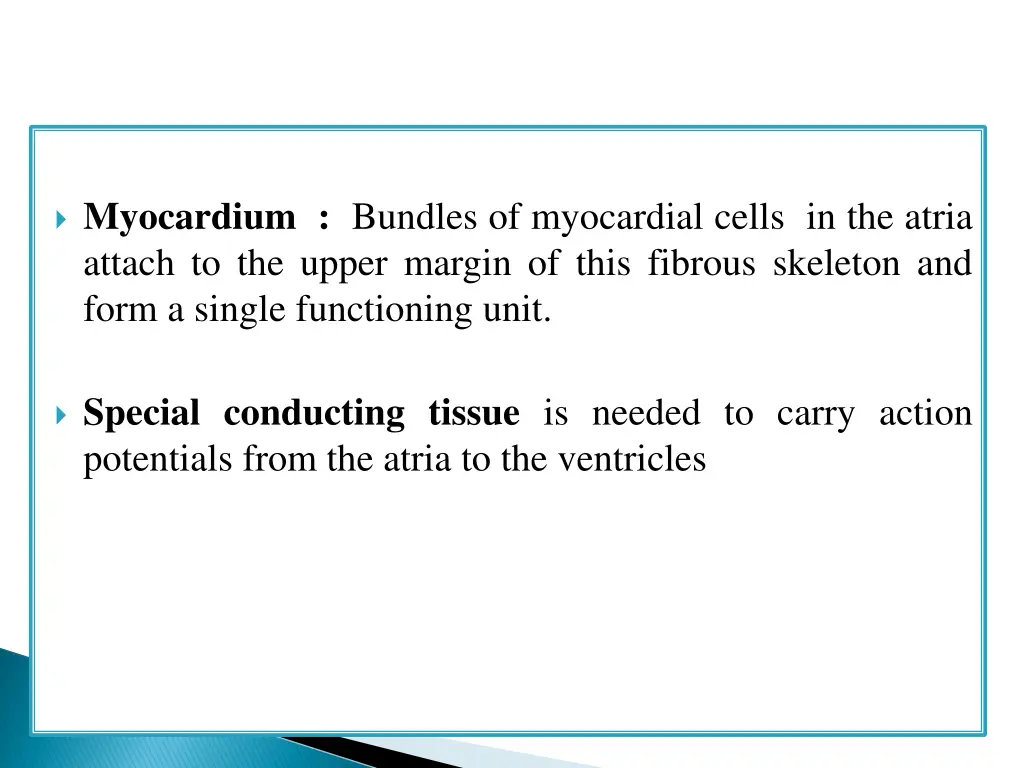 myocardium bundles of myocardial cells